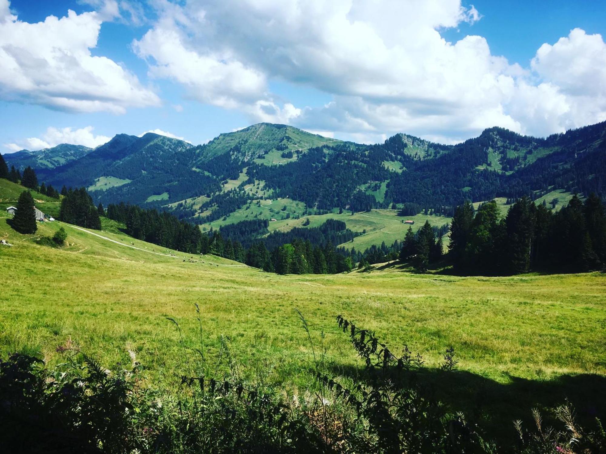 Sonneck Oberstaufen